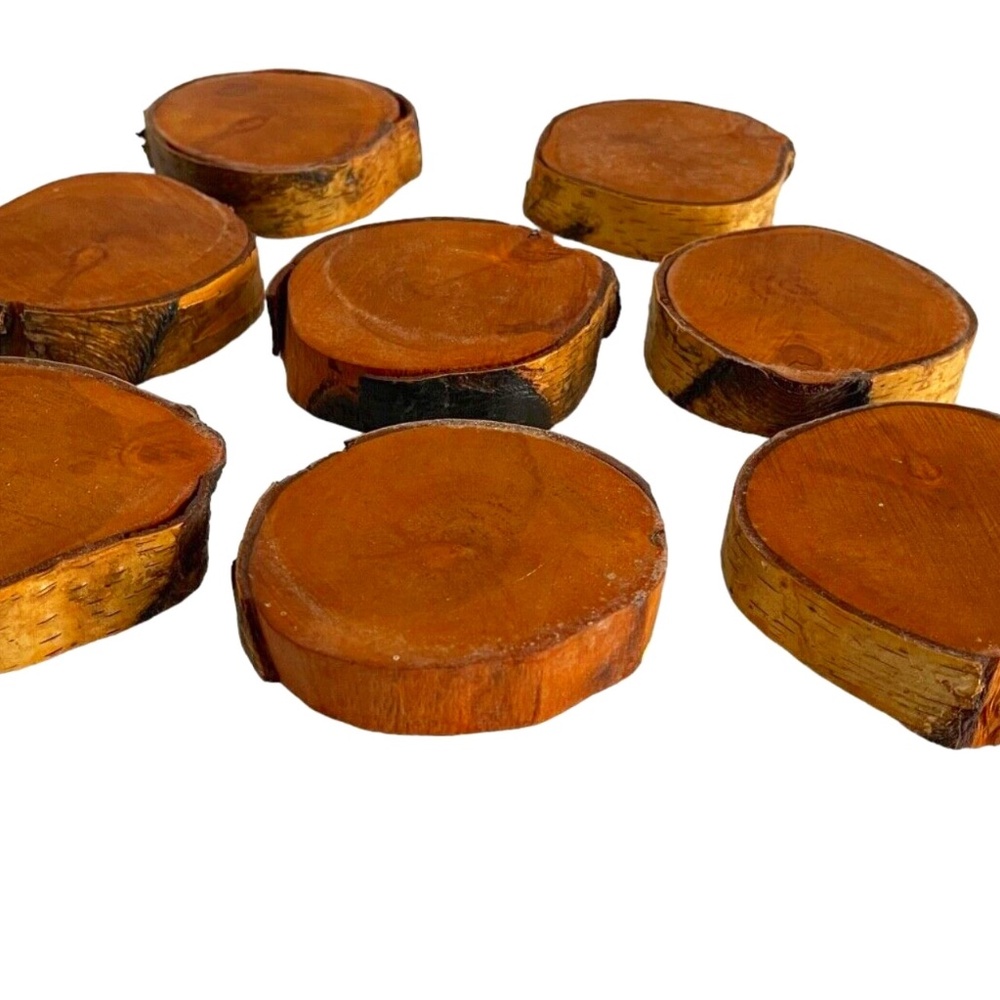Live Edge Wood Coasters Set of 8 Sealed Wood Birch Farmhouse Nautical Natural